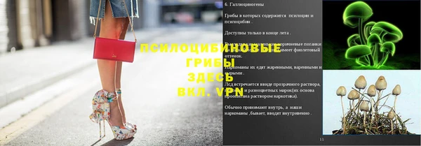 не бодяженный Иннополис