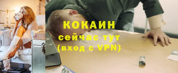 СК Каменногорск