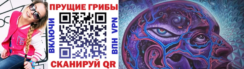 Купить закладки  Норильск  Галлюциногенные грибы Cubensis 
